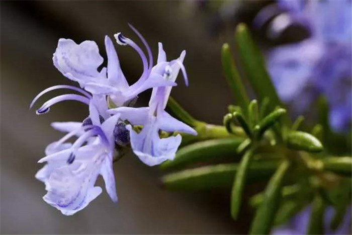 image011.jpg image011.jpg